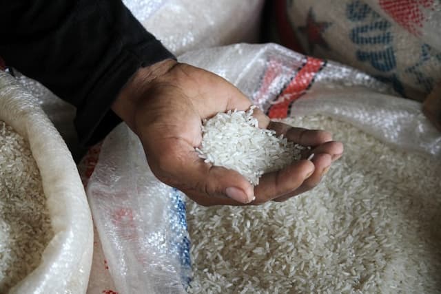 2022_harga_beras_diperkirakan_masih_stabil