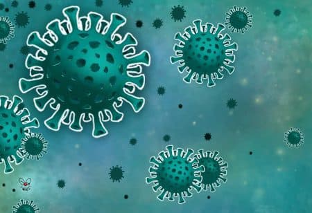 6_fakta_varian_covid_19_omicron_b11529