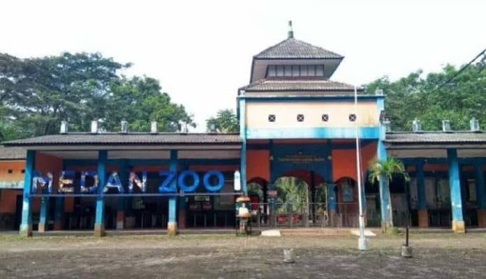 ada_pembangunan_medan_zoo_bakal_ditutup
