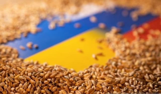 benih_benih_tanaman_ukraina_terancam_punah