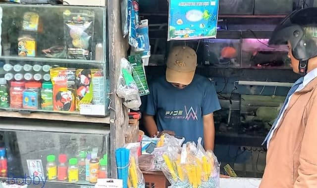 fokus_lensa_ikan_hias_di_jalan_bintang