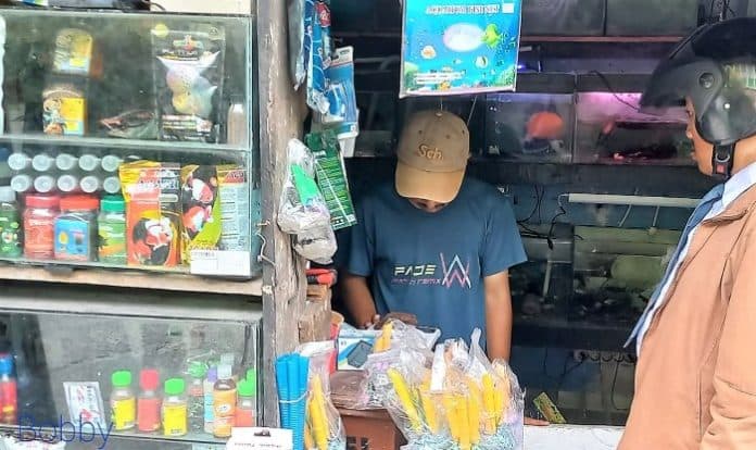 fokus_lensa_ikan_hias_di_jalan_bintang