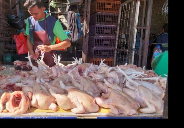 jelang_ramadhan_harga_ayam_di_medan_mahal