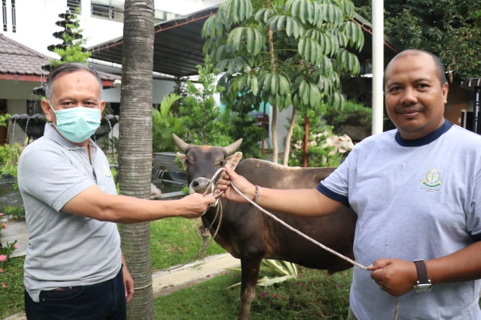 kejari_medan_berbagi_hewan_qurban