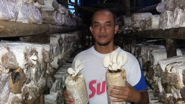 menikmati_untung_dari_budidaya_jamur_tiram