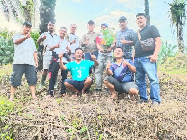 penanam_ganja_di_ladang_digari_polisi