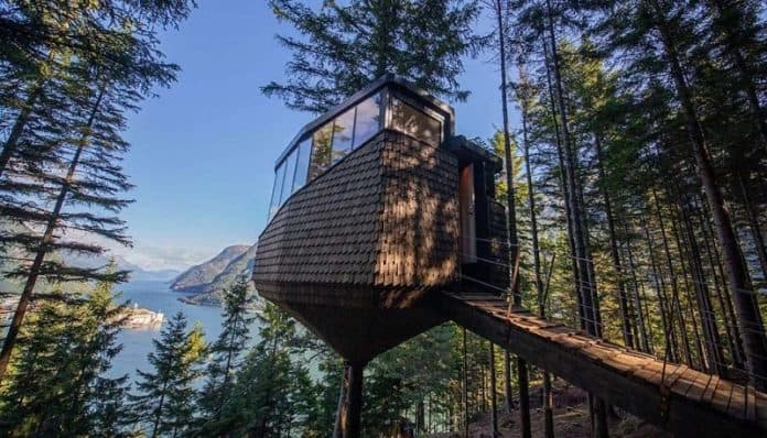 rumah_kabin_terapung_di_hutan_norwegia