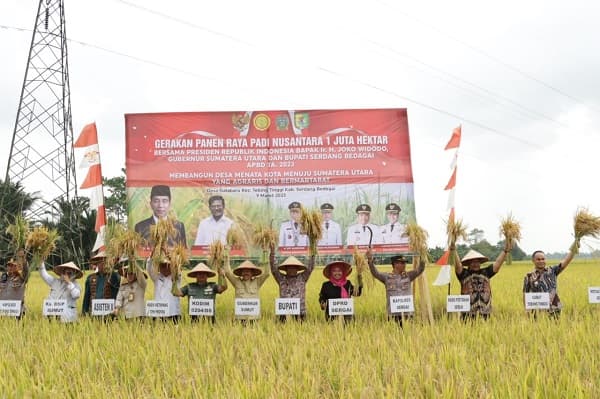 sergai_ikut_panen_raya_1_juta_hektar_padi