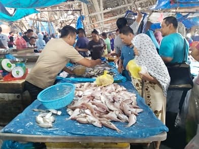 stok_ikan_laut_di_pasar_dwikora_sedikit