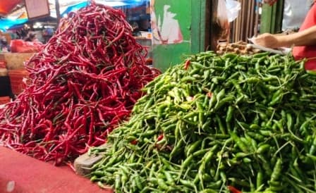 takut_harga_naik_lagi_warga_borong_cabai