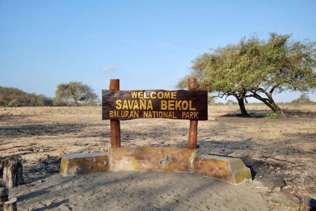 taman_nasional_baluran_dibuka_kembali