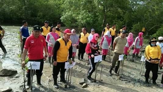 tanam_mangrove_di_pantai_sejarah