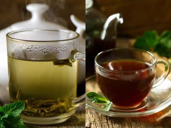 teh_hijau_vs_teh_hitam_mana_yang_lebih_baik