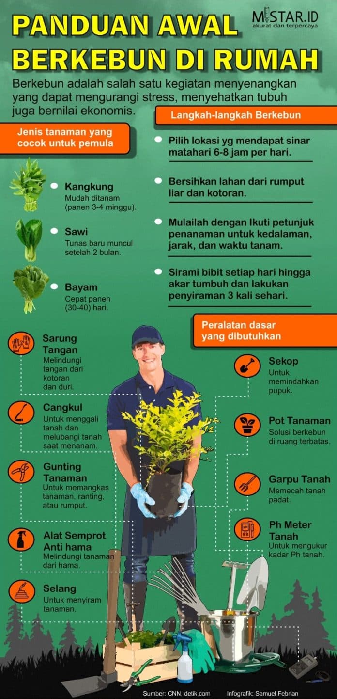 tips_panduan_awal_berkebun_di_rumah