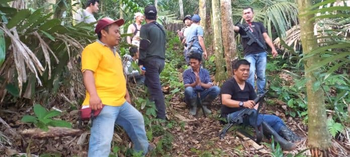 waspada_harimau_masih_berkeliaran_di_tapsel