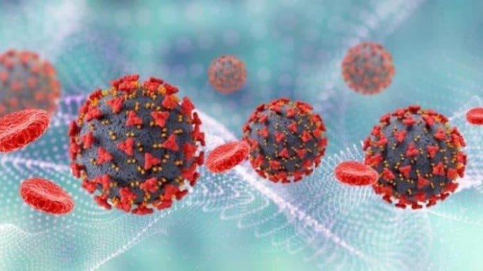 kasus_virus_hmpv_meningkat_lagi