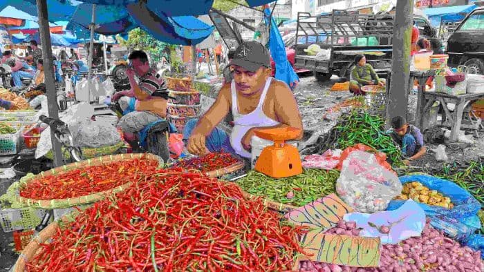 cabai_merah_penyumbang_deflasi_terbesar_di_sumut_bps_petani_jangan_jual_semua_ke_pasar