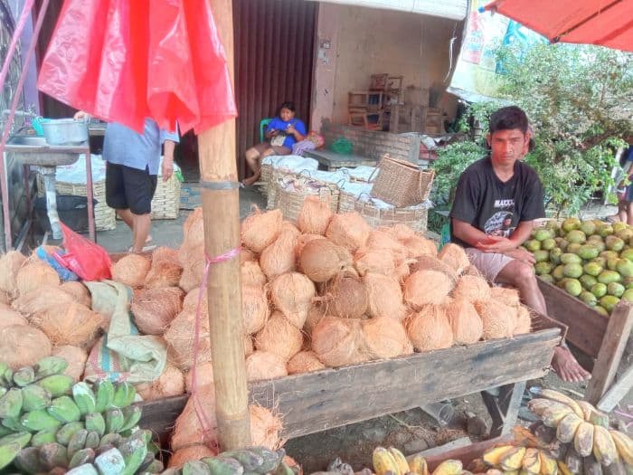 harga_kelapa_di_toba_turun_pedagang_dan_ibu_rumah_tangga_sumringah