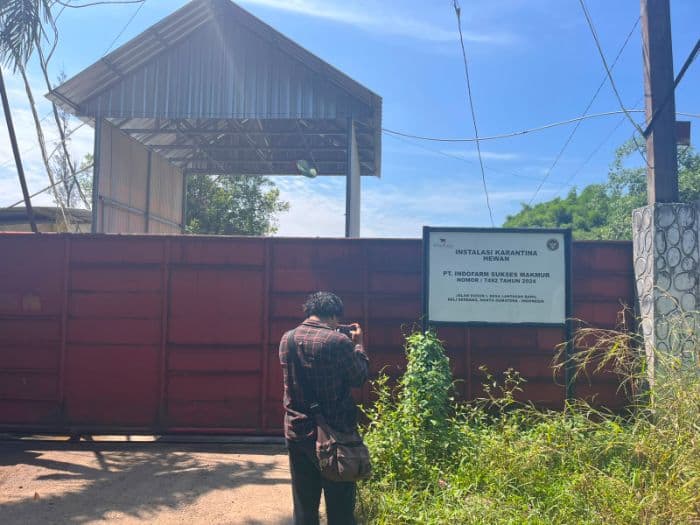 polda_sumut_diminta_usut_tuntas_kasus_puluhan_ton_ikan_mati_di_deli_serdang_akibat_limbah_peternakan