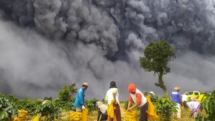 harga_cabai_di_medan_berfluktuasi_pengamat_bukan_dampak_erupsi_sinabung