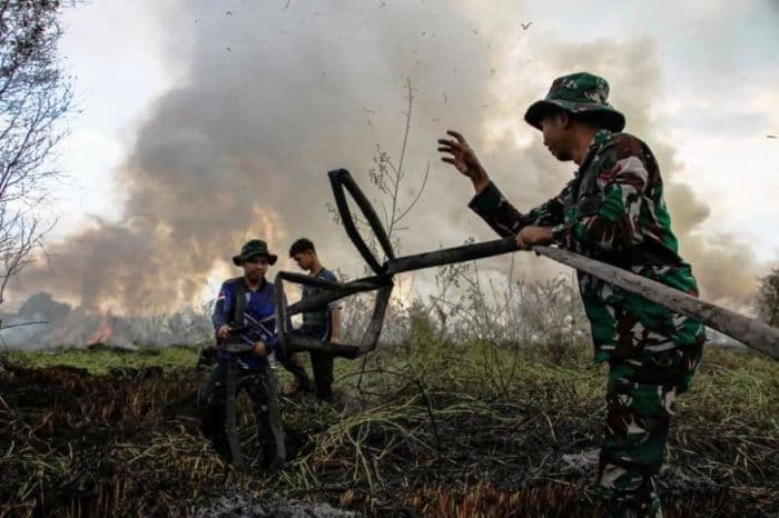 klh_tempuh_tiga_jalur_hukum_terhadap_19_perusahaan_terlibat_karhutla