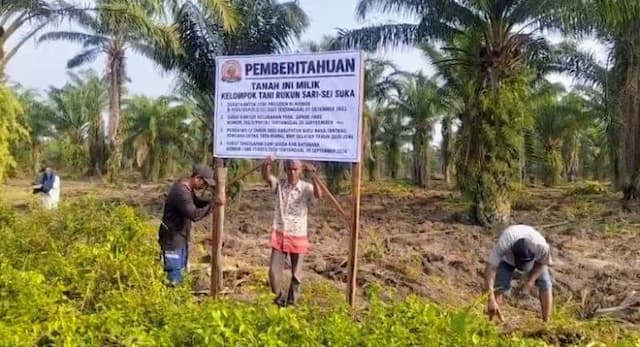 klaim_menang_hingga_kasasi_koptan_rukun_sari_pasang_plang_di_lahan_eks_hgu_pt_moeis