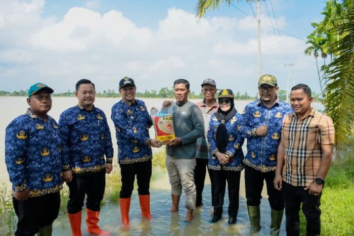 13_ribu_hektare_sawah_di_sergai_terendam_banjir_wabup_salurkan_bantuan_bibit_padi
