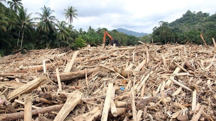 _telusuri_asal_gelondongan_kayu_di_sumut_kementerian_lh_panggil_delapan_perusahaan_