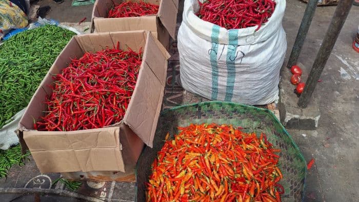 harga_cabai_merah_rp80000_per_kilogram_di_pasar_petisah