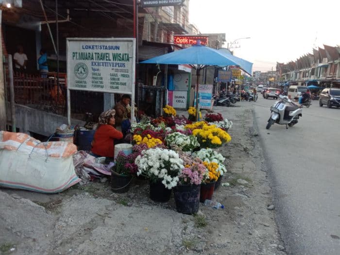 jelang_jumat_agung_pedagang_bunga_mulai_membuka_lapak_di_toba