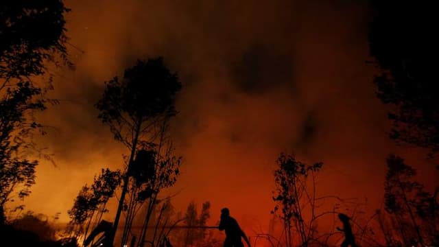 lahan_yang_terbakar_di_israel_sudah_padam_17_petugas_terluka