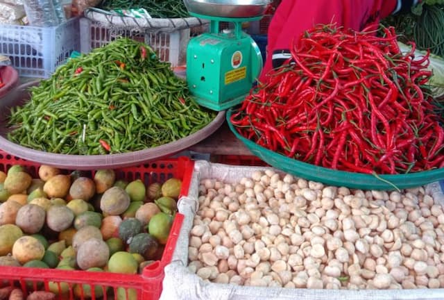 petani_cabai_di_kecamatan_uluan_apresiasi_naiknya_harga