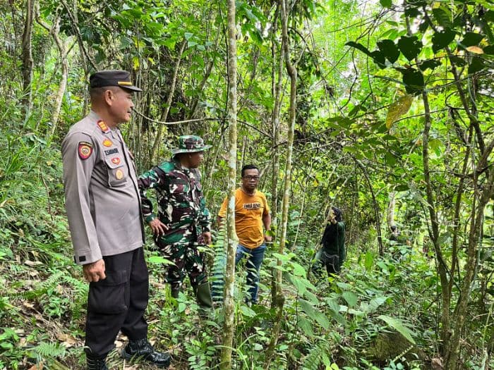 tim_gabungan_sisir_desa_pudun_jae_harimau_sumatera_belum_juga_terlacak