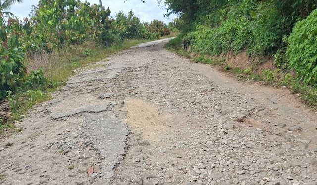 begini_kondisi_jalan_penghubung_kecamatan_tigalingga_kecamatan_siempat_nempu