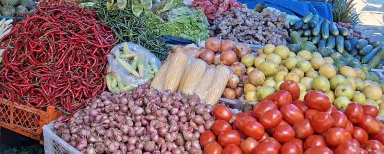 harga_pangan_masih_jadi_penentu_inflasi_pematangsiantar_juni_2026_melandai