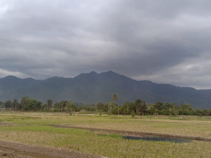 berdampak_terhadap_hasil_pertanian_warga_di_toba_berharap_akhiri_kemarau_dengan_turunnya_hujan