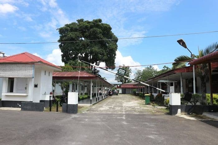 monyet_liar_berkeliaran_di_rs_gl_tobing_damkar_deli_serdang_turun_tangan