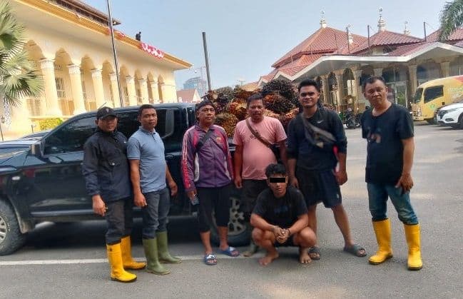 ptpn_lapor_ke_polda_sumut_berharap_pelaku_pencurian_sawit_diproses_hukum