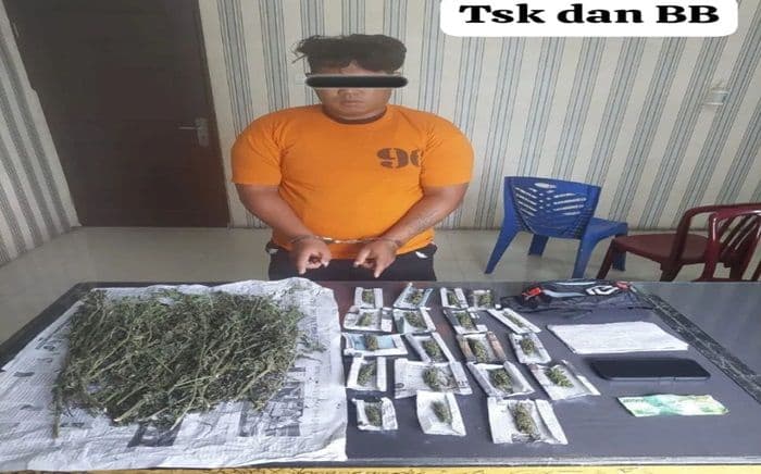 petani_karo_nyambi_jadi_pengedar_narkotika_polisi_amankan_217_gram_ganja