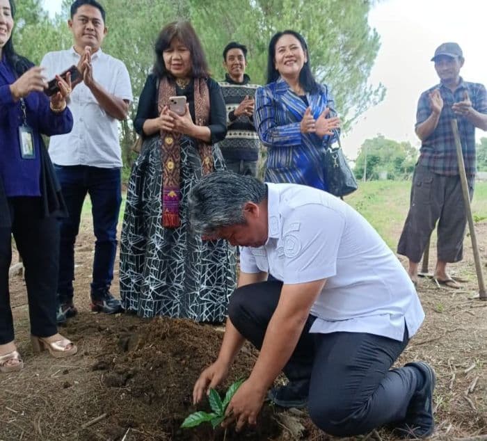 wakil_bupati_deni_lumbantoruan_serahkan_bibit_kopi_arabika_sigarar_utang_ke_petani_taput