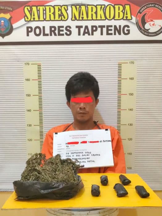 ganja_setengah_kilogram_disembunyikan_dalam_ember_cat_bekas_pria_di_tapteng_diciduk_polisi