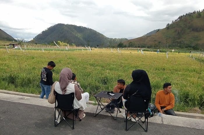 desa_sarimarrihit_samosir_bali_kecil_dengan_persawahan_yang_menawan