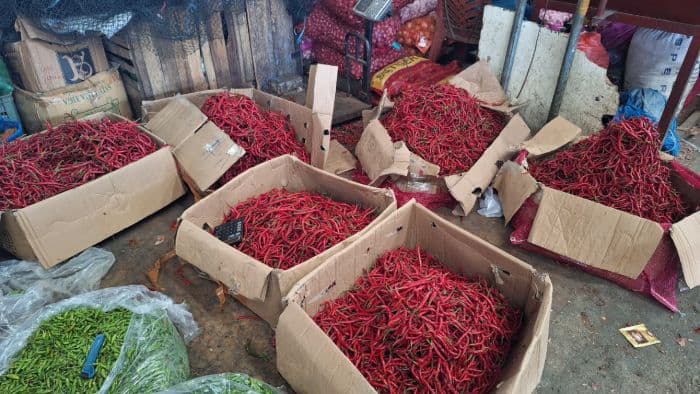 tren_penurunan_harga_cabai_merah_berlanjut_di_medan_kini_rp60_ribu_per_kg