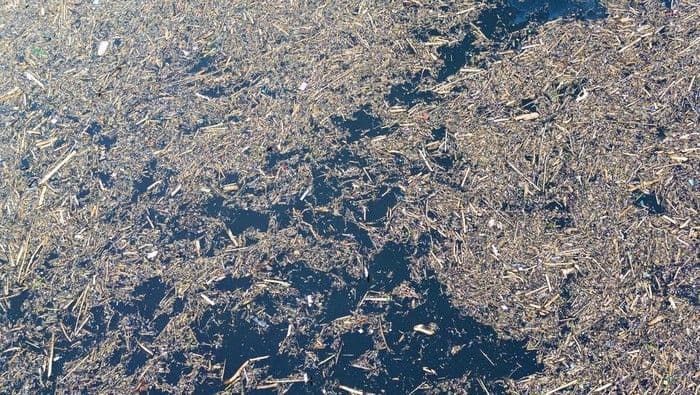 bareskrim_selidiki_asal_gelondongan_kayu_yang_terseret_banjir_di_sumatera