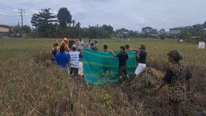 seorang_remaja_terseret_arus_banjir_ditemukan_tewas_di_persawahan_payageli