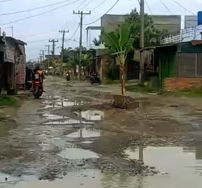 protes_jalan_rusak_warga_desa_pelawi_selatan_tanam_pohon_pisang_di_tengah_jalan