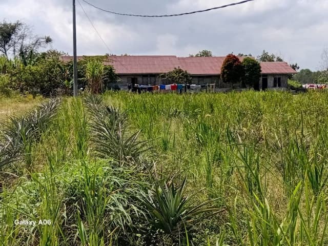pemkab_taput_tegaskan_tak_ada_hak_milik_di_kawasan_apl_sijaba_300_hektare