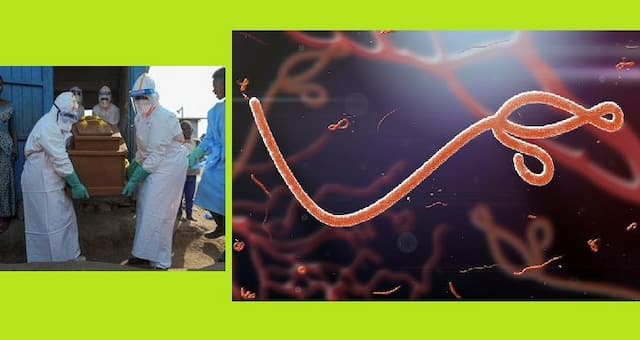 ebola_di_kongo_tembus_3000_kematian_seberapa_besar_risikonya_bagi_dunia