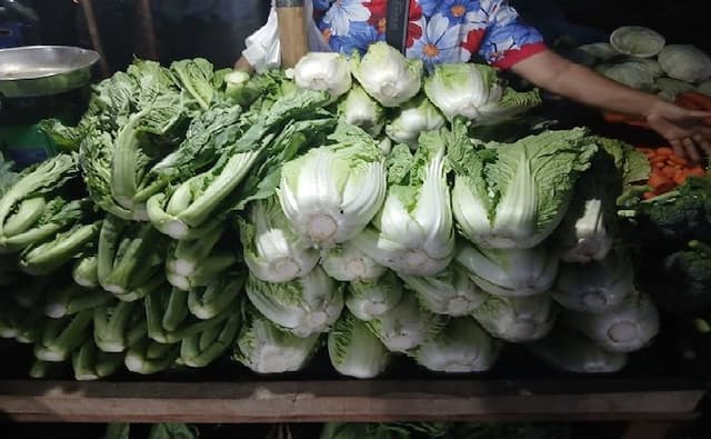 harga_sayur_di_pematangsiantar_melonjak_erupsi_sinabung_bukan_satusatunya_penyebab