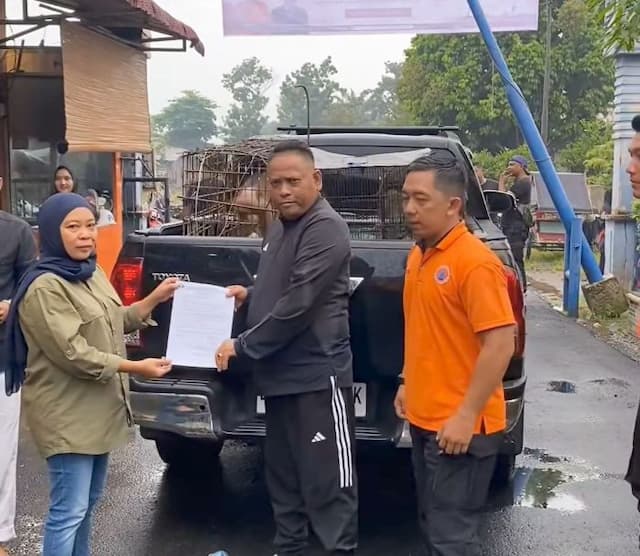 bpbd_binjai_serahkan_empat_hewan_liar_ke_bksda_stabat